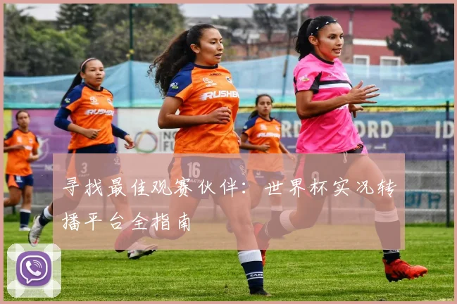 寻找最佳观赛伙伴:世界杯实况转播平台全指南