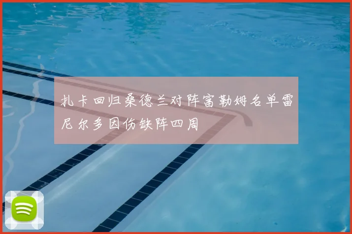 扎卡回归桑德兰对阵富勒姆名单雷尼尔多因伤缺阵四周