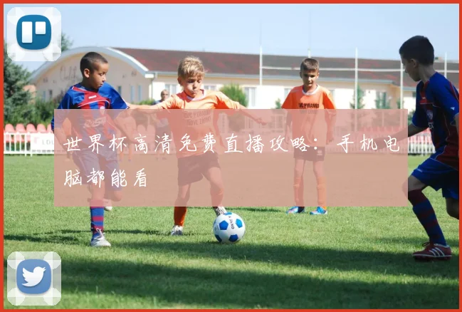 世界杯高清免费直播攻略:手机电脑都能看