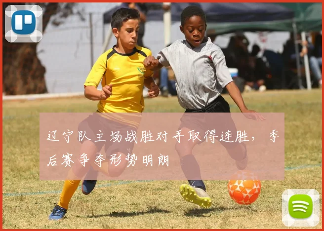 辽宁队主场战胜对手取得连胜，季后赛争夺形势明朗