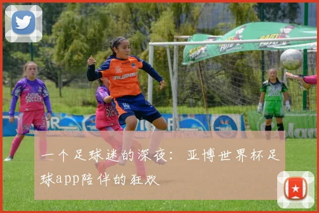 一个足球迷的深夜:亚博世界杯足球app陪伴的狂欢