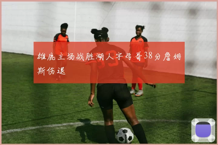 雄鹿主场战胜湖人字母哥38分詹姆斯伤退