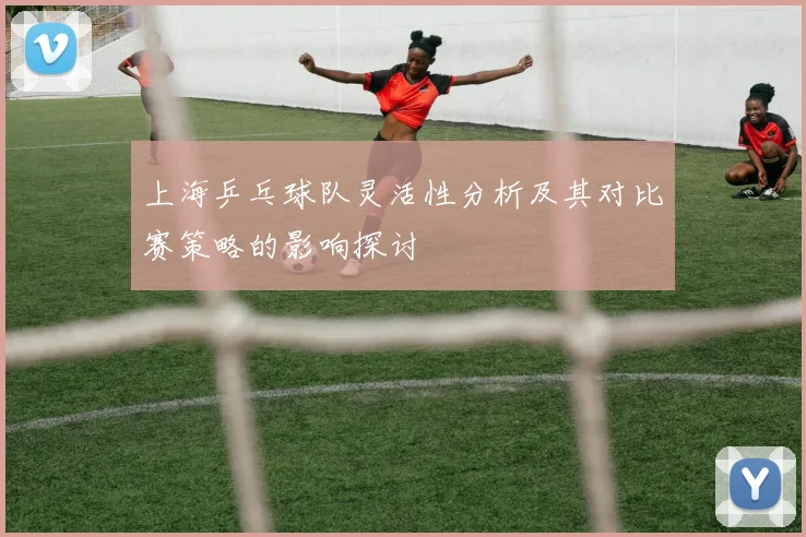 上海乒乓球队灵活性分析及其对比赛策略的影响探讨
