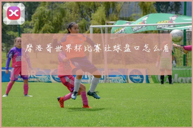 摩洛哥世界杯比赛让球盘口怎么看