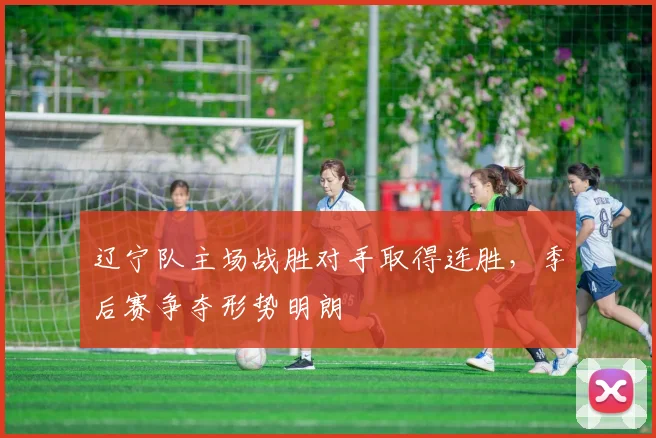辽宁队主场战胜对手取得连胜，季后赛争夺形势明朗