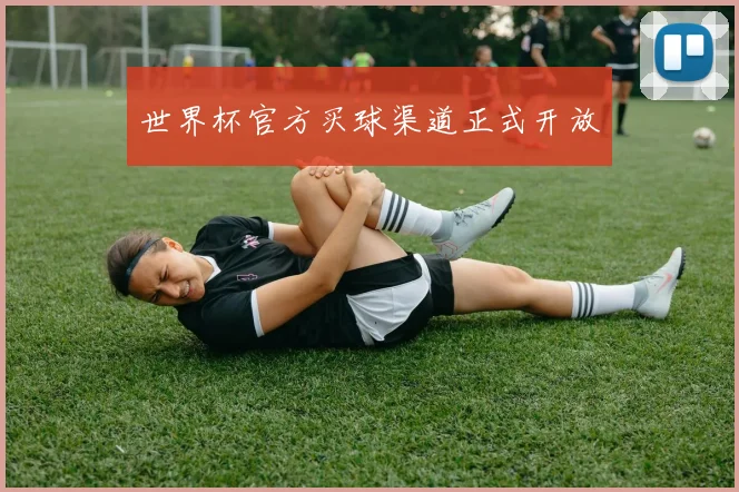 世界杯官方买球渠道正式开放