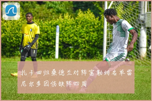 扎卡回归桑德兰对阵富勒姆名单雷尼尔多因伤缺阵四周