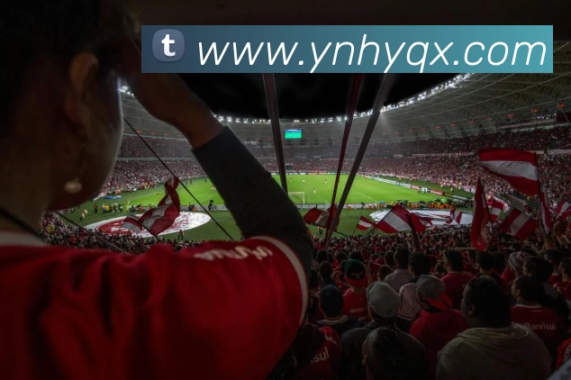 爱游戏官网品牌故事