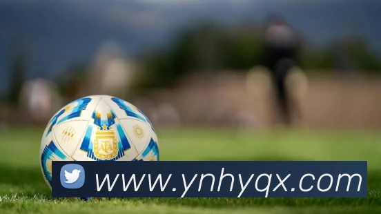 爱游戏官网服务体系